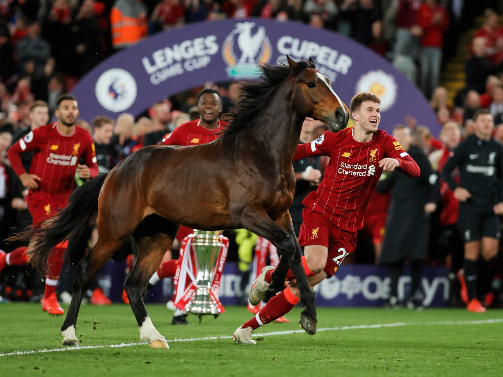 中灵活调整 中灵活调整